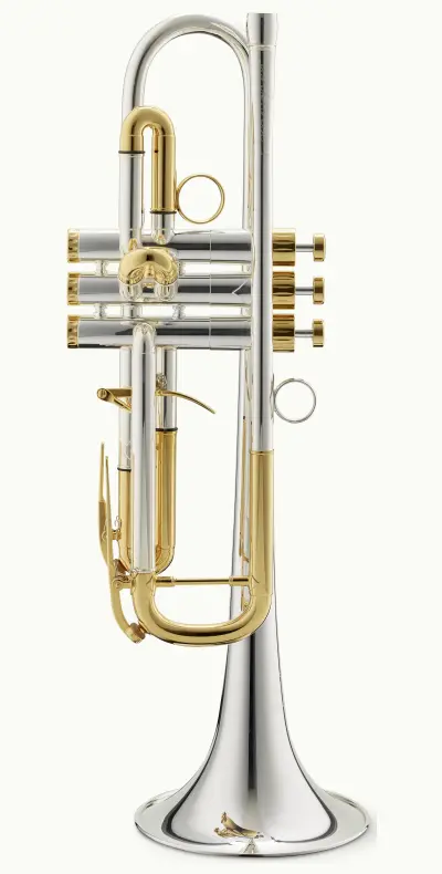S-0A Schiffshorn, einzelne Trompete, weiß pulverbeschichtet oder verchromt  - 1st-Relief